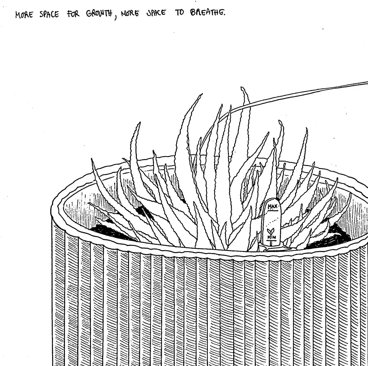 Black-and-white line-art illustration of cactus.